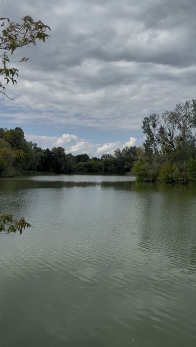Квартира в Києві, ID 322964, фото №13