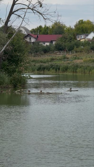 Квартира в Києві, ID 322964, фото №14