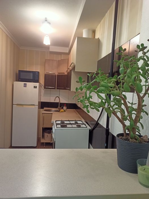 Квартира на вул. Білоруська, 28а в Київ, ID 315442, фото №5