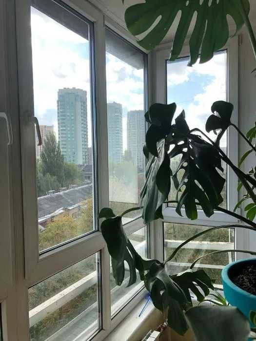 Квартира на просп. Лобановського, 5А в Київ, ID 322162, фото №3
