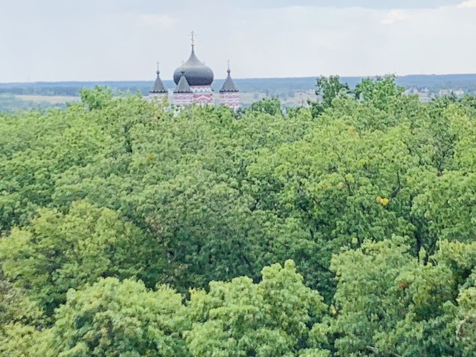 Квартира на ЖК Казка в Києві, ID 315905, фото №12
