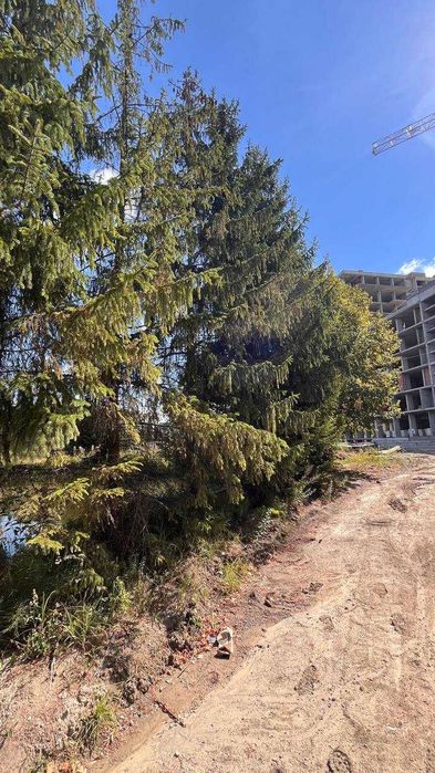 Квартира на вул. Карла Мікльоша, 43 в Львові, ID 321560, фото №15