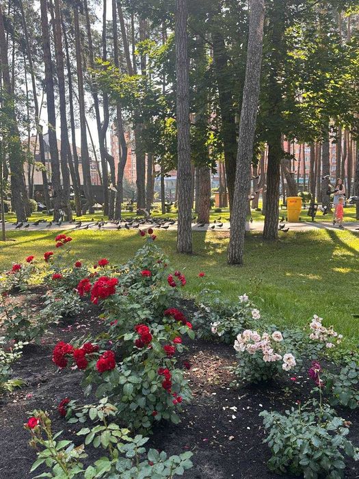 Квартира на вул. Лісова в Києві, ID 319010, фото №8