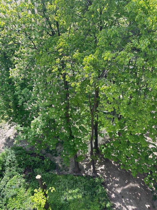 Квартира на вул. Шалімова в Києві, ID 316925, фото №12