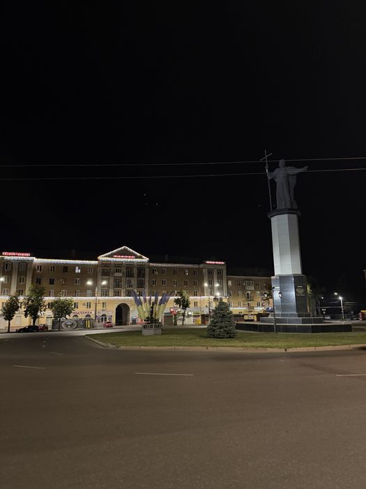 Квартира на вул. Володимира Великого, 9 в Кривому Розі, ID 318281, фото №14