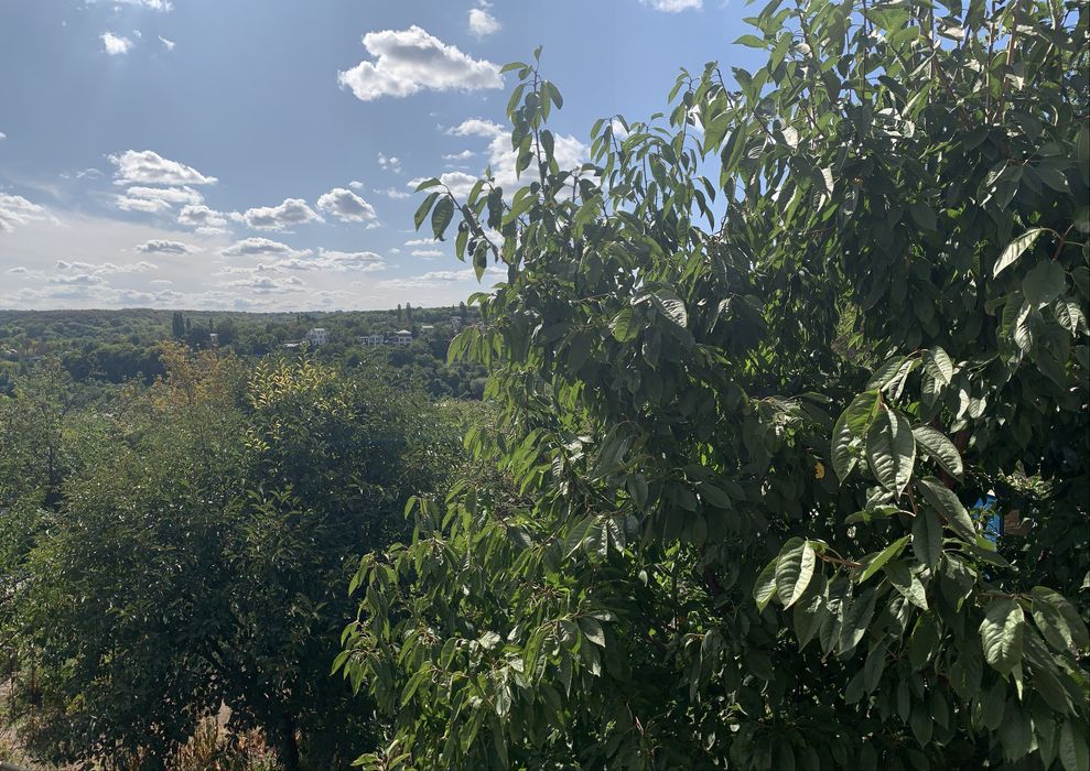 Квартира на Голосіївський в Київ, ID 317537, фото №4