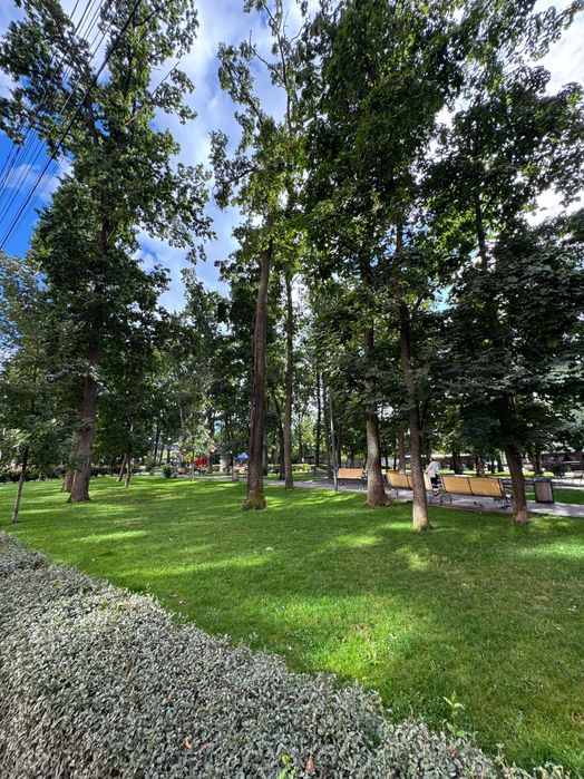 Квартира на вул. Ново-Оскольська, 2-р. в Києві, ID 324789, фото №19