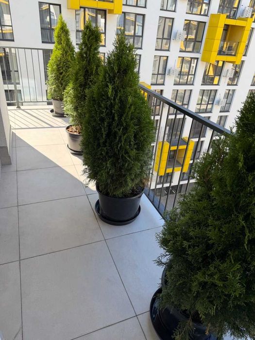 Квартира на вул. Пимоненка, 5 в Львові, ID 324929, фото №19