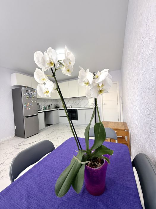 Квартира на вул. Європейська, 31А в Київ, ID 325115, фото №4