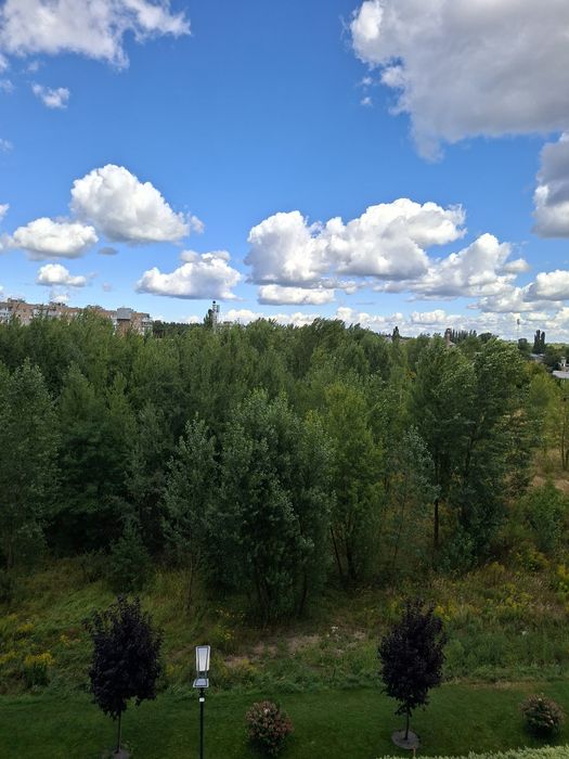 Квартира на вул. Івана Кожедуба, 3Д в Києві, ID 325813, фото №9