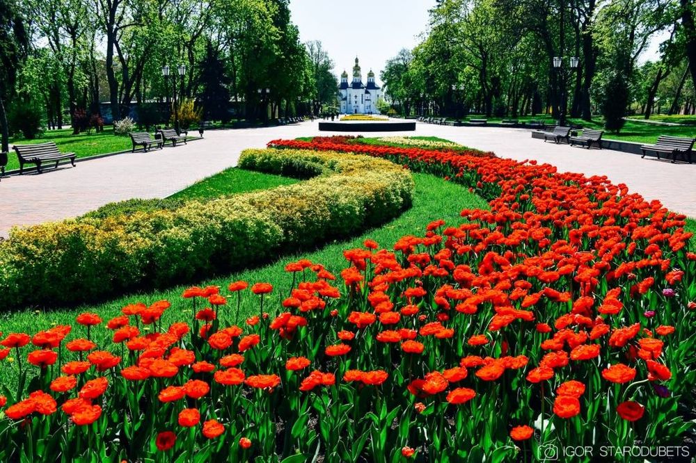 Квартира на просп. Миру, 21 в Чернігові, ID 325938, фото №2