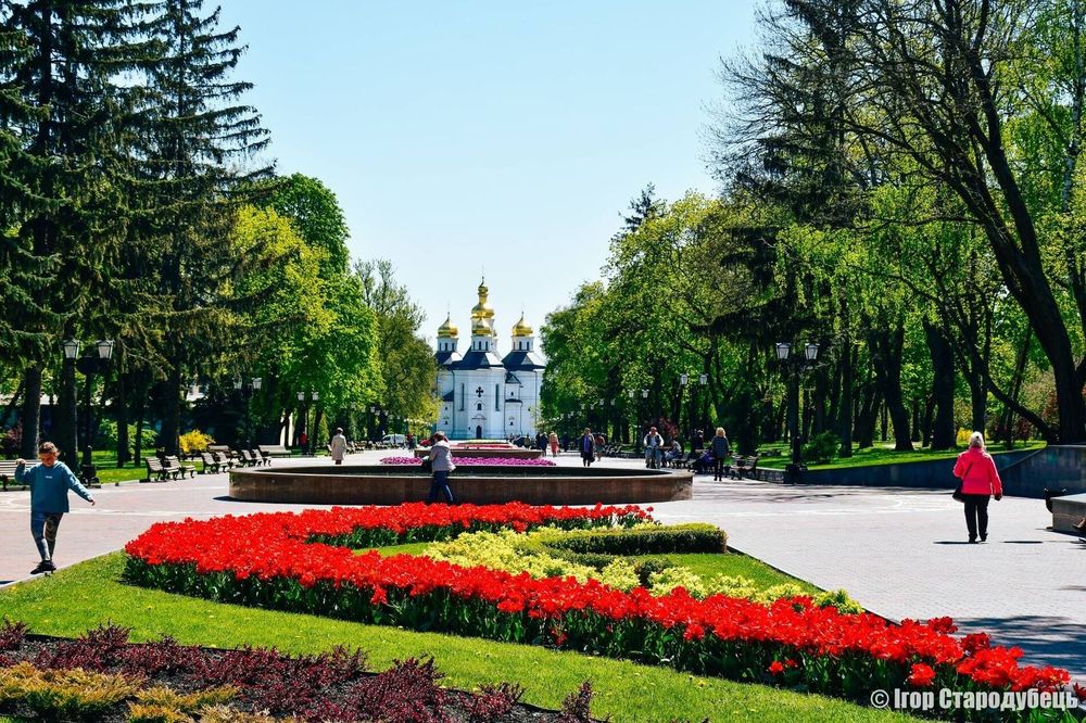 Квартира на просп. Миру, 21 в Чернігові, ID 325938, фото №12