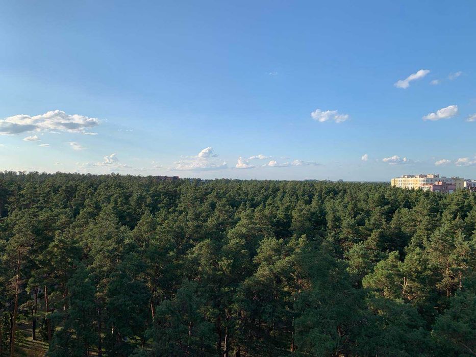 Квартира на вул. Універсітетська, 3/6 в Київ, ID 325997, фото №5