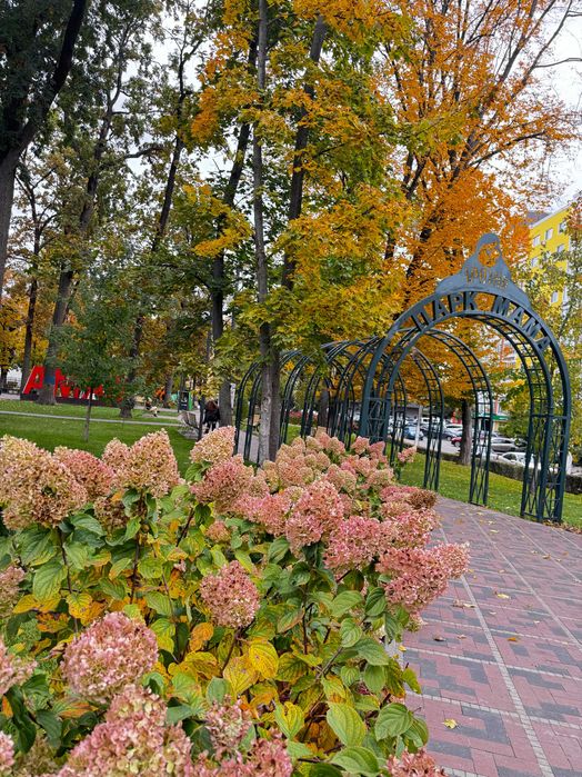 Квартира на Ірпінь в Києві, ID 326588, фото №22