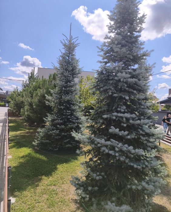 Квартира на вул. Богдана Хмельницького, 25 в Київ, ID 327804, фото №4