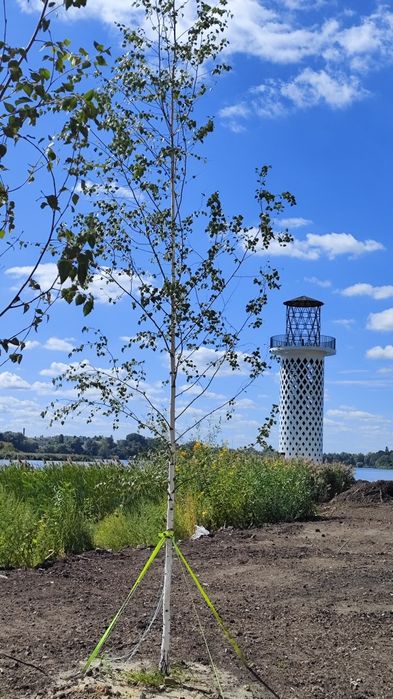 Квартира на вул. Гостомельське шосе, 49 в Києві, ID 328068, фото №23