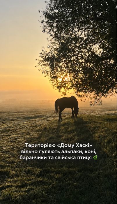 Будинок, Кладьківка, вул. Деснянська, 31 у Чернігівській області, ID 416336, фото №6