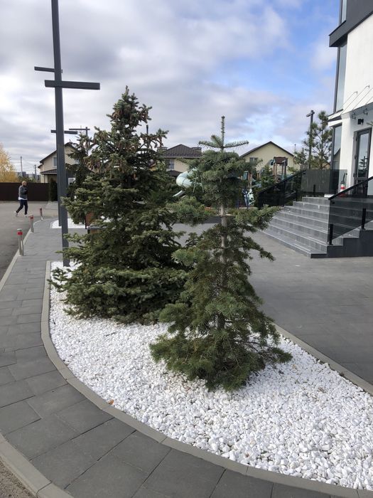 Квартира в Київ, ID 329088, фото №1