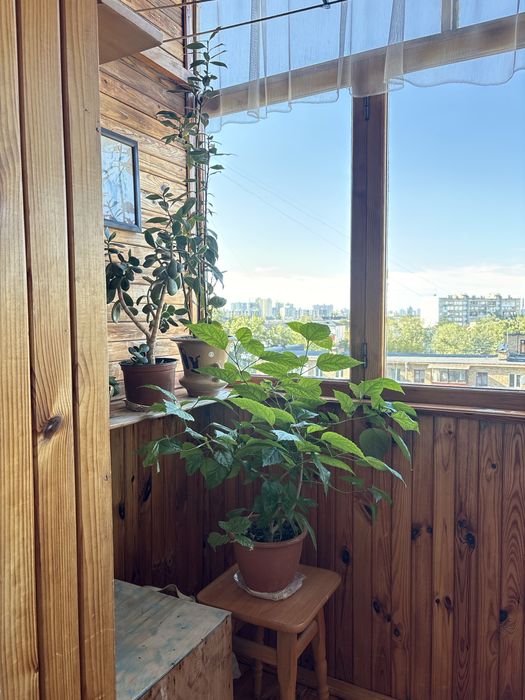 Квартира на вул. Шевельова, 49/20 в Києві, ID 329355, фото №16