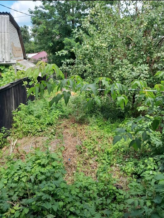 Квартира на вул. Сільгосптехнікум в Києві, ID 329413, фото №12
