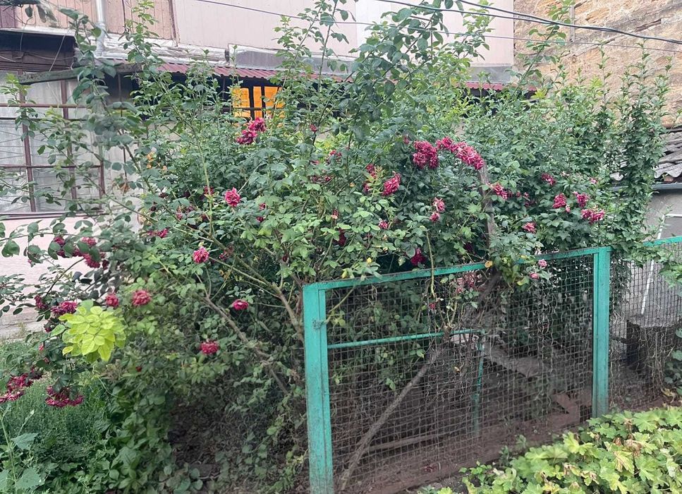 Квартира на Хаджибейський в Одесі, ID 329575, фото №18