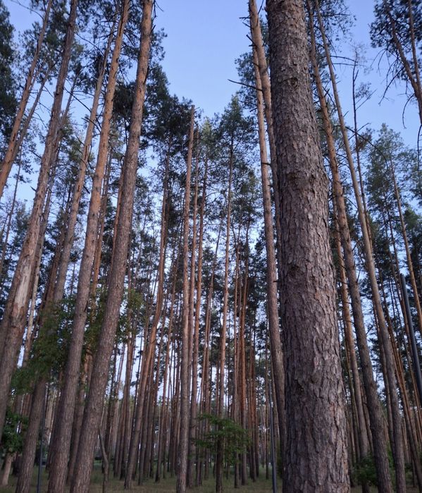 Квартира на вул. Шота Руставелі в Києві, ID 329880, фото №24
