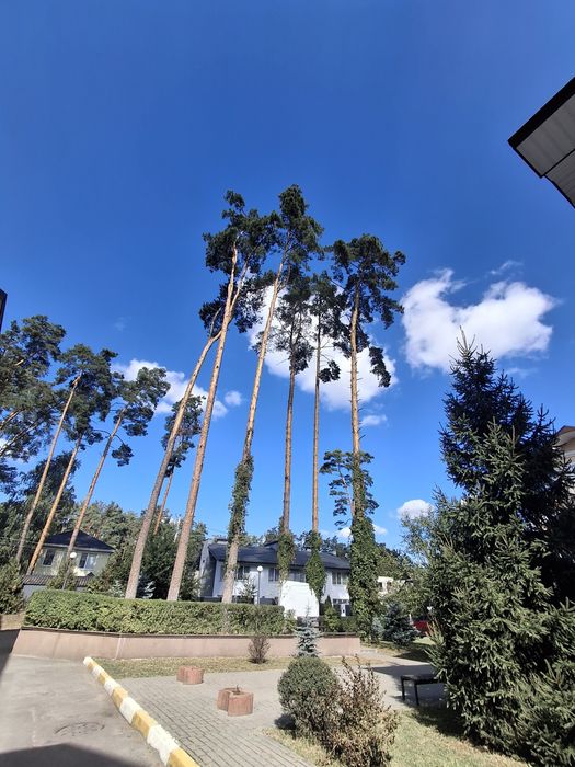 Квартира на вул. Шота Руставелі в Києві, ID 329880, фото №6