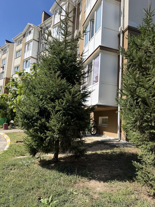 Квартира на Буча в Київ, ID 331065, фото №1