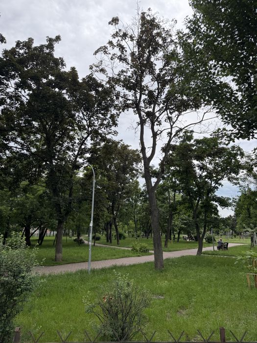 Квартира на просп. Соборності, 16 в Києві, ID 331370, фото №15