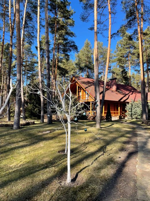 Будинок на Черкаська область, Прохорівка, ID 416325, фото №2