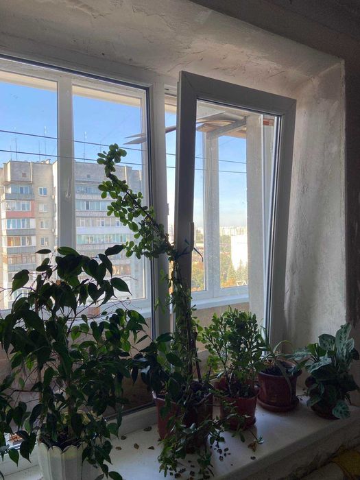 Квартира на просп. Перемоги, 71 в Чернігові, ID 333066, фото №14