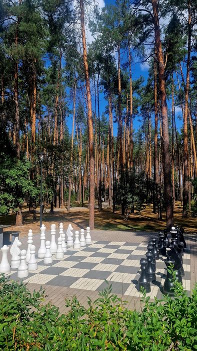 Квартира на ЖК «Соборний» в Києві, ID 333284, фото №19