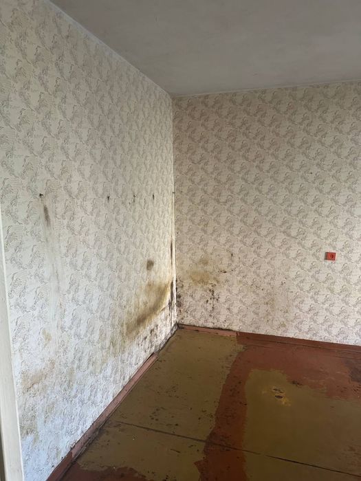 Квартира на Саксаганський в Кривий Ріг, ID 334975, фото №2