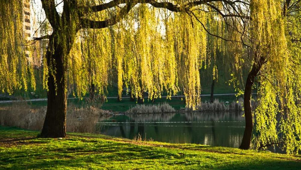 Квартира на Дніпровський в Києві, ID 336016, фото №5