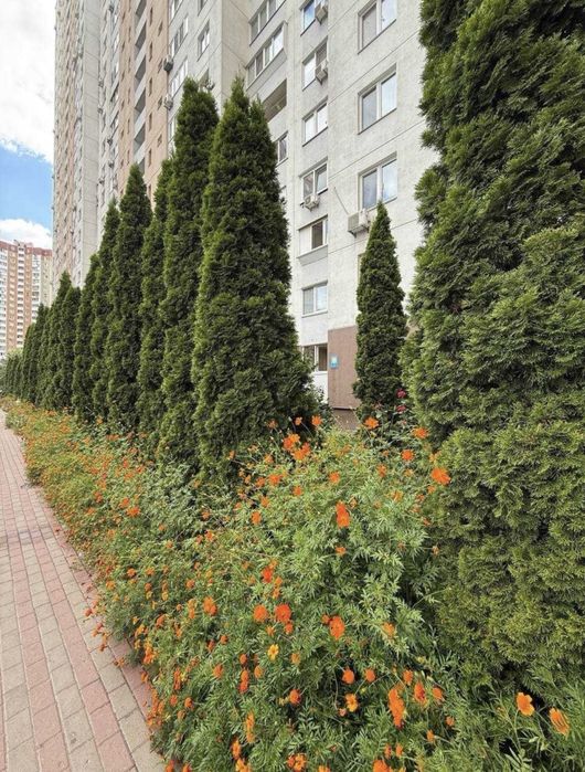 Квартира на вул. Урлівська, 38 в Київ, ID 336109, фото №2