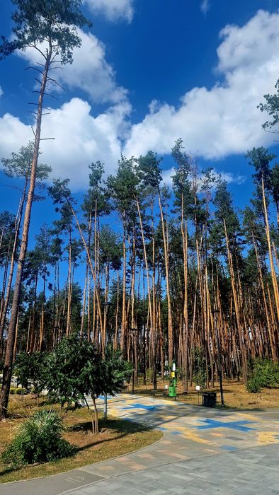 Квартира на ЖК «Соборний» в Києві, ID 336107, фото №14