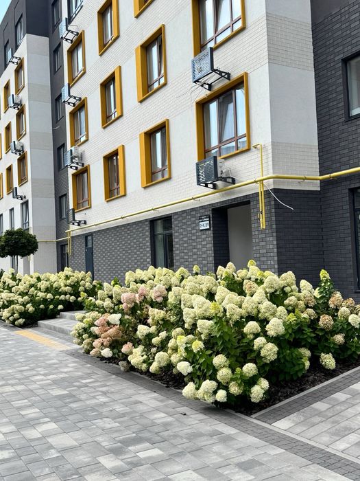 Квартира на ЖК Молодість в Київ, ID 336729, фото №4