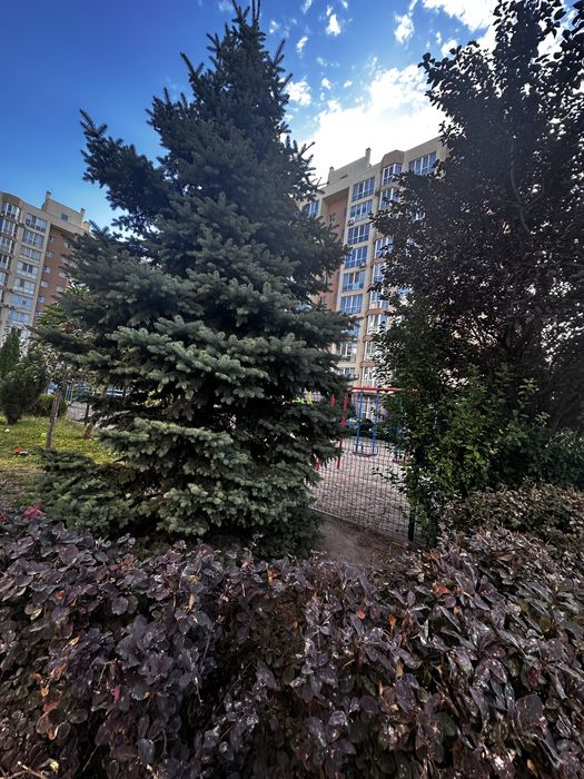 Квартира на ЖК Софіївська Сфера в Київ, ID 336952, фото №4