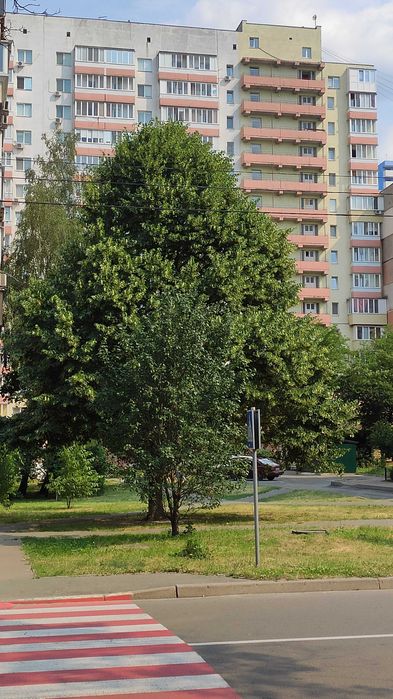 Квартира в Києві, ID 337415, фото №12