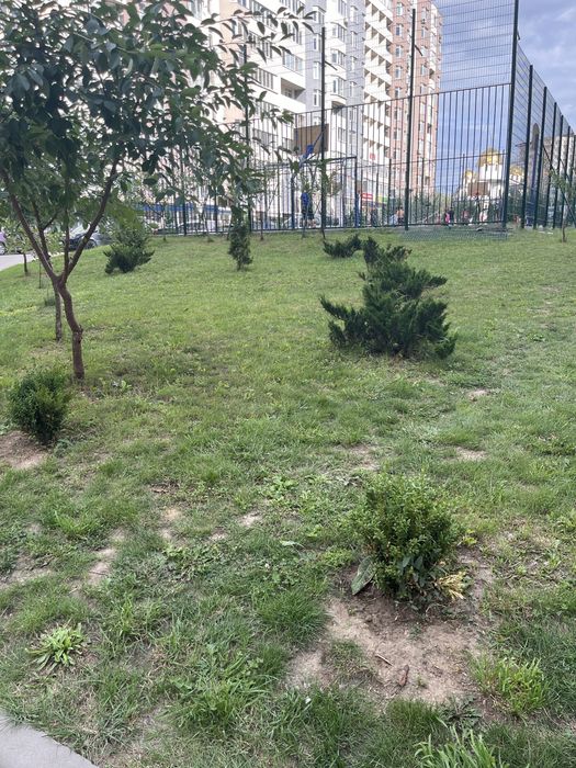 Квартира на вул. Київська в Тернополі, ID 374489, фото №4