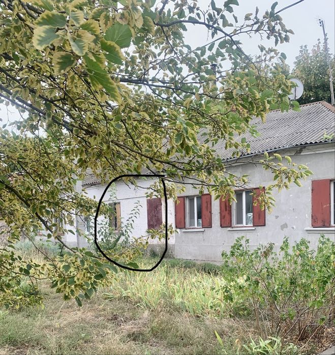 Квартира на Подільський, ID 337749, фото №1
