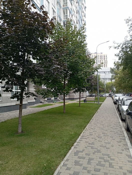 Квартира на вул. Патріарха М. Скрипника, 48А в Києві, ID 337782, фото №22