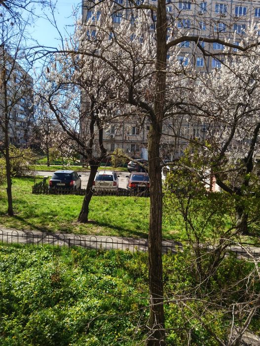 Квартира на просп. Ватутіна генерала, 30 в Києві, ID 338888, фото №11