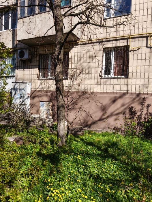 Квартира на просп. Ватутіна генерала, 30 в Києві, ID 338888, фото №12