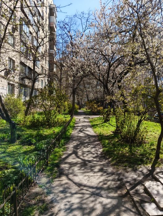 Квартира на просп. Ватутіна генерала, 30 в Києві, ID 338888, фото №13