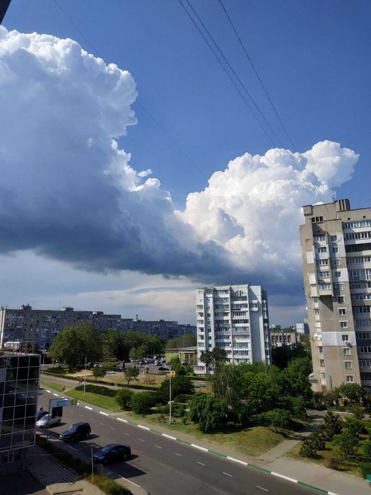 Квартира — Чорноморськ, Одеська область в Одесі, ID 344273, фото №9