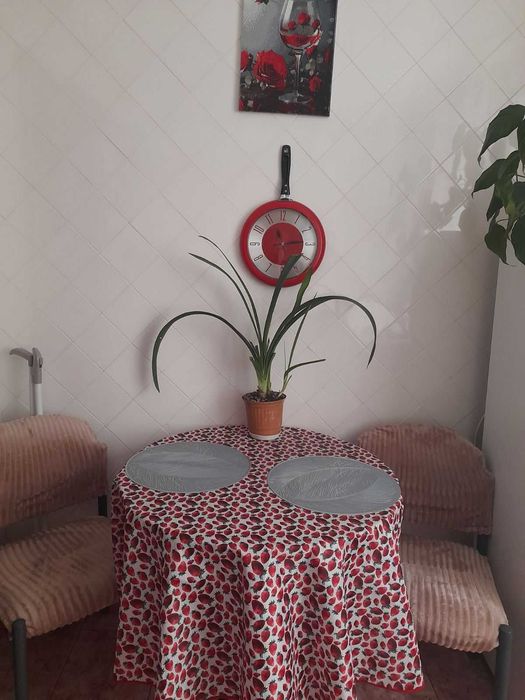 Квартира — Житомир в Житомирі, ID 345253, фото №15