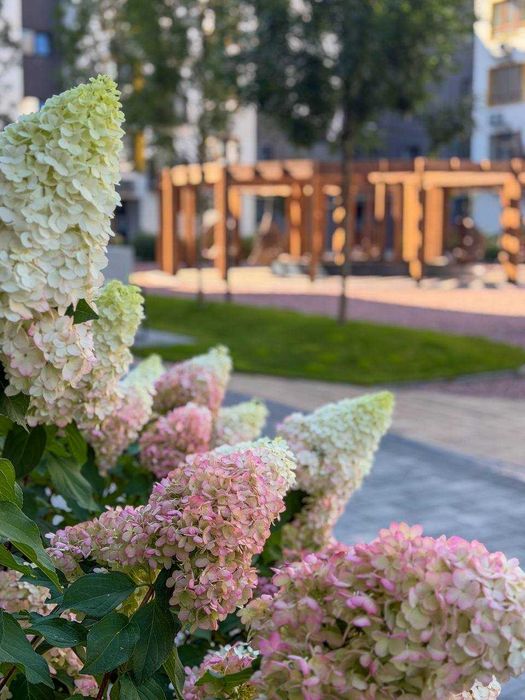 Квартира на ЖК Молодість в Київ, ID 348411, фото №5