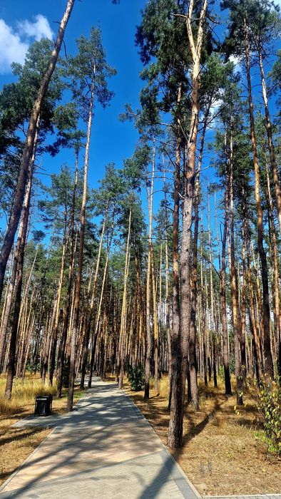 Квартира на ЖК «Соборний» в Києві, ID 347057, фото №18