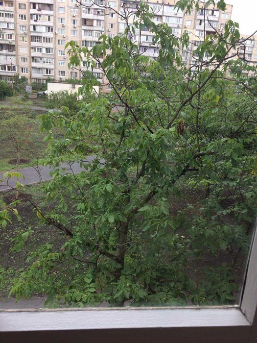 Квартира на вул. Північна в Києві, ID 350726, фото №16